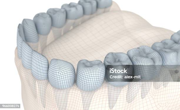 Mund Zahnfleisch Und Zähne Drahtmodell 3dillustration Stockfoto und mehr Bilder von Zahnpflege