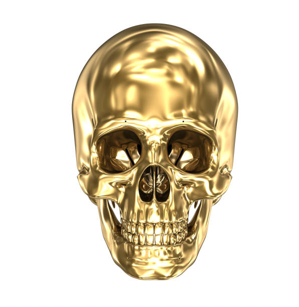 istock Golden human skull over white , 3D illustration 966011040