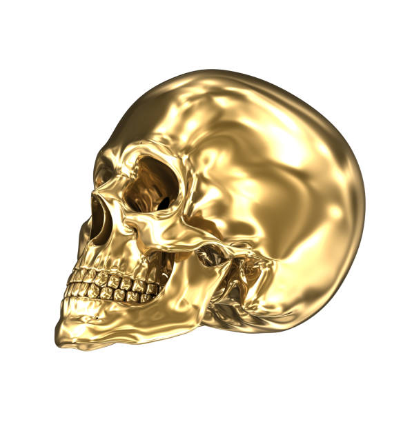 istock Golden human skull over white , 3D illustration 966011154