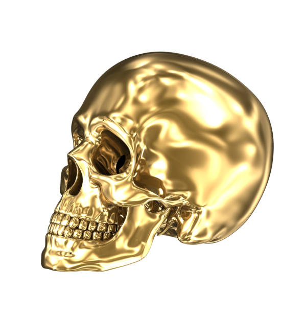 istock Golden human skull over white , 3D illustration 966013224