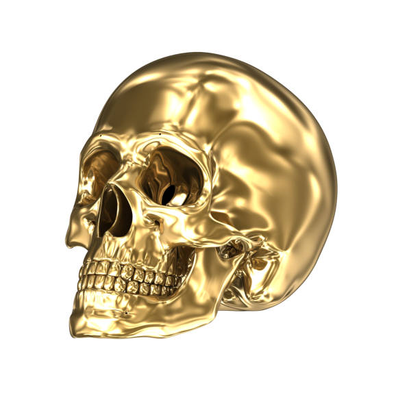 istock Golden human skull over white , 3D illustration 966017614