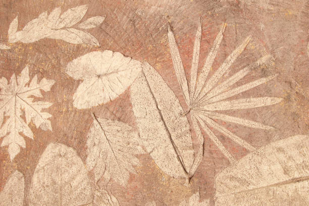 marks of leaf on the concrete
