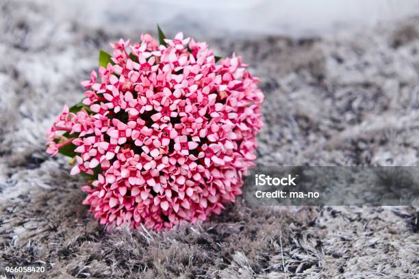 Bloemboeket Stockfoto en meer beelden van Bloem - Plant - Bloem - Plant, Bloemstuk, Boeket