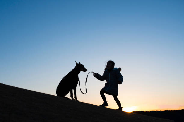 istock Child and Doberman silhouette 966059970