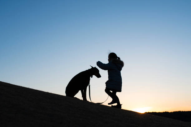 istock Child and Doberman silhouette 966059972