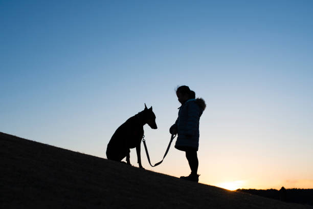 istock Child and Doberman silhouette 966059976