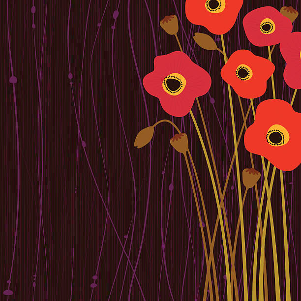 Poppy flowers vector art illustration