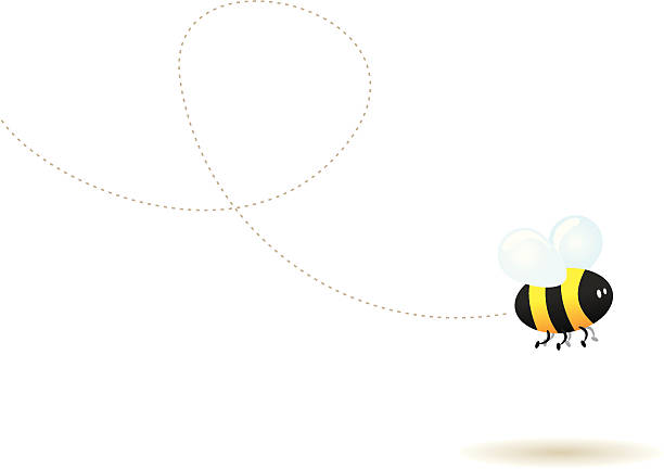 ilustrações de stock, clip art, desenhos animados e ícones de mosca pouco abelha! - studio shot white background action activity