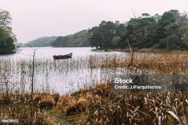 Сценический Вид На Лодку В Озере В Килларни Туманный День — стоковые фотографии и другие картинки Без людей