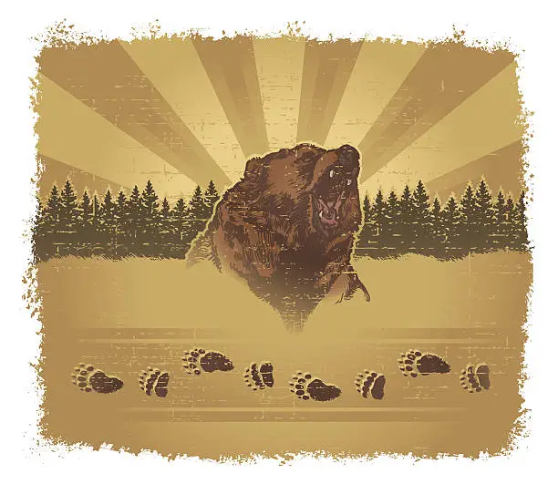 Vector illustration of Bear Grunge