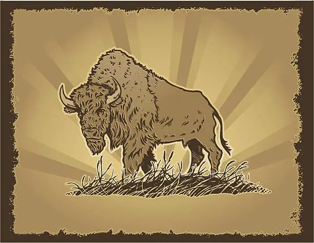 Vector illustration of Buffalo Grunge