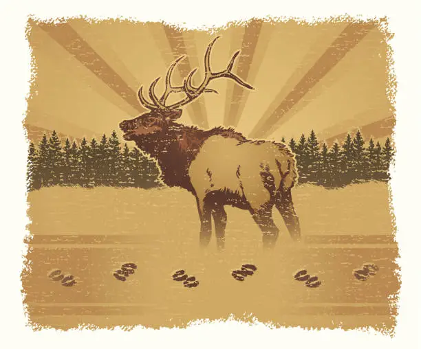 Vector illustration of Elk Grunge