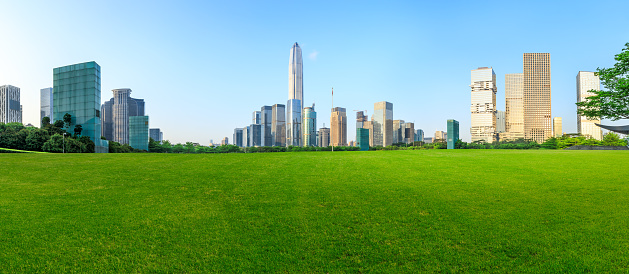 Green grass and modern city skyline scenery in Shenzhen,China