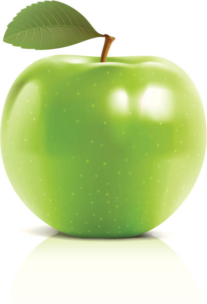 ilustrações de stock, clip art, desenhos animados e ícones de green maçã - apple granny smith apple green vector