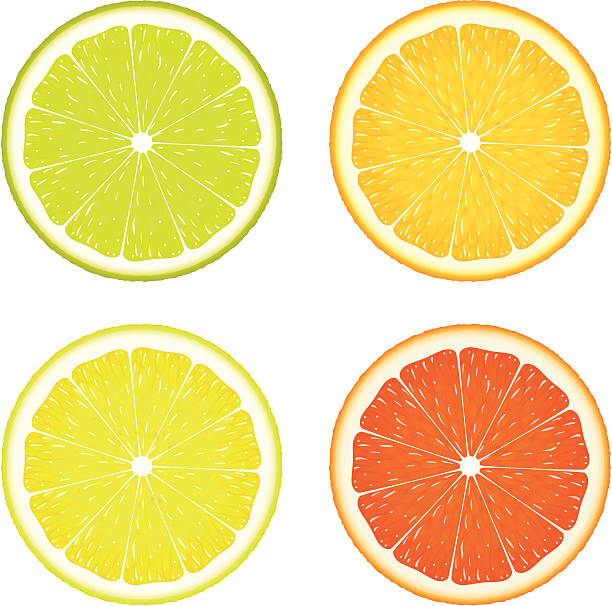 ilustraciones, imágenes clip art, dibujos animados e iconos de stock de citrus cuatro - white background food close up studio shot