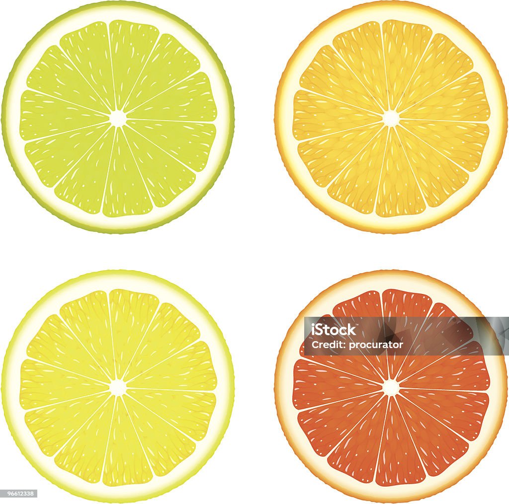 Citrus Four  Lemon - Fruit stock vector