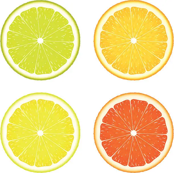Vector illustration of Citrus Four