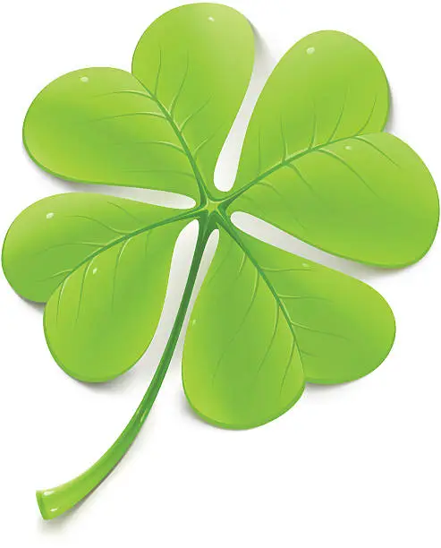 Vector illustration of Clover