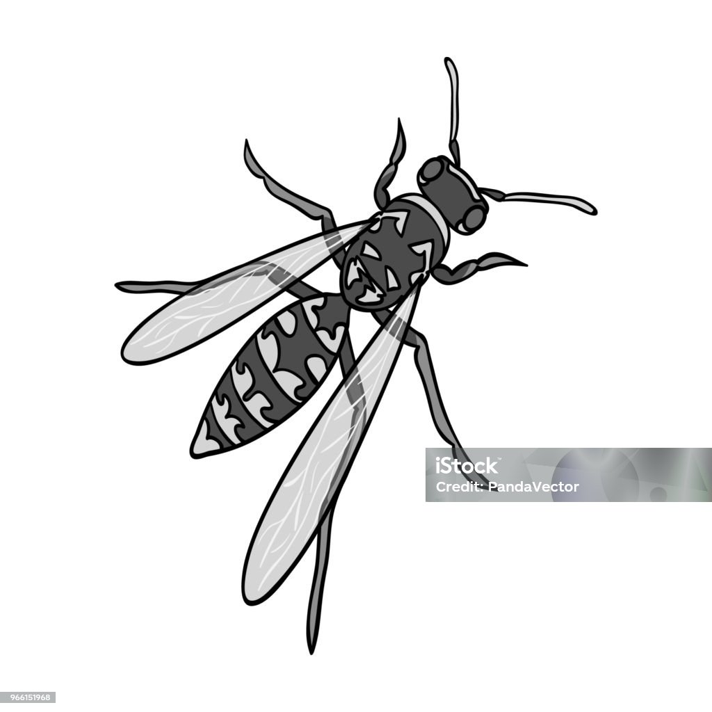 Formuleren Portugees kraan Wasp Hymenoptere Insect Wasp Stekende Insecten Enkel Pictogram In Zwartwit  Stijl Vector Symbool Stock Isometrische Illustratie Web Stockvectorkunst en  meer beelden van Arthropod - iStock