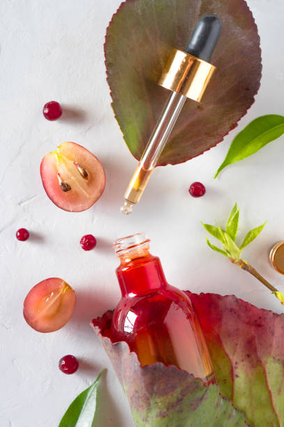 istock Organic bio cosmetics with herbal ingredients Extract, grape seed oils, serum. Copy Space, flat lay, view from above. 966152862