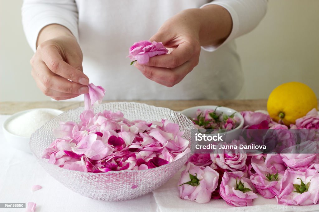Eine Frau bereitet Marmelade aus Rosen, Zutaten für Marmelade aus Rosen. Rustikalen Stil. - Lizenzfrei Rose Stock-Foto