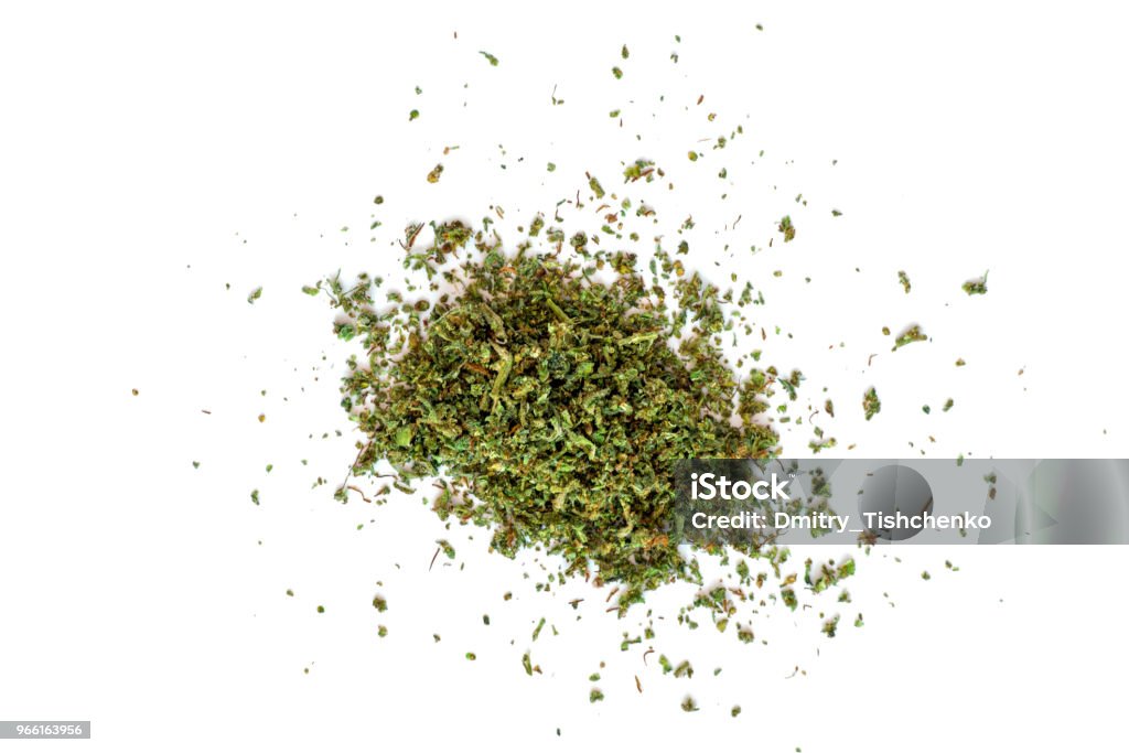 Zerkleinerte Knospen von Marihuana, Weed Cannabis isoliert auf weißem Backg medizinische Verwendung THC und CBD - Lizenzfrei Blatt - Pflanzenbestandteile Stock-Foto