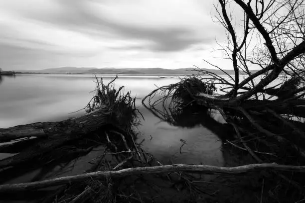 Photo of Long exposure view of a lake, with perfectly still water, skelet