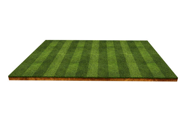istock Green grass field isolated on white background 966178348