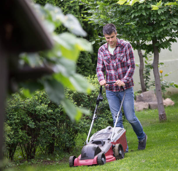 istock Gardener mowing lawn in backyard 966204760