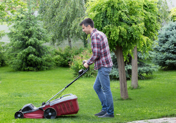 istock Gardener mowing lawn in backyard 966205036