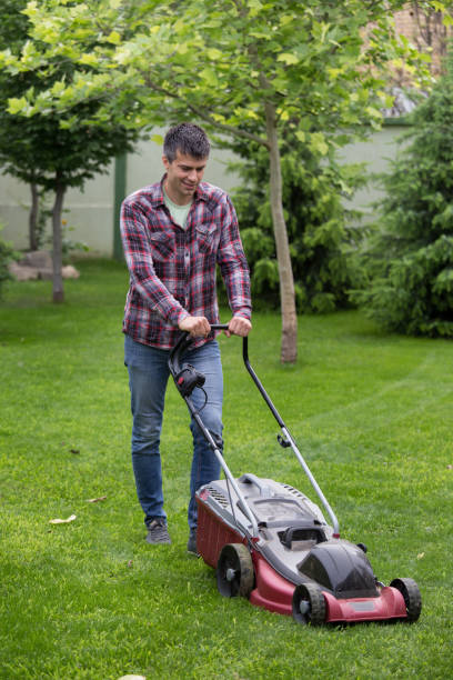 istock Gardener mowing lawn in backyard 966205080