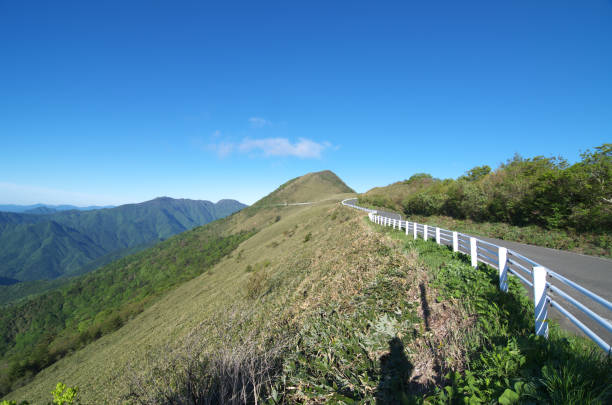 Kamegamoririndou in Kochi Prefecture, Japan Kamegamoririndou in Kochi Prefecture, Japan mt ishizuchi stock pictures, royalty-free photos & images