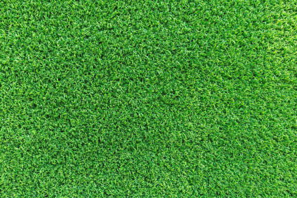 istock Grass field texture for golf course, soccer field or sports background concept design. Artificial grass. 966214322