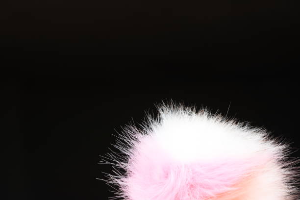 istock A fur ball on a black background 966215958
