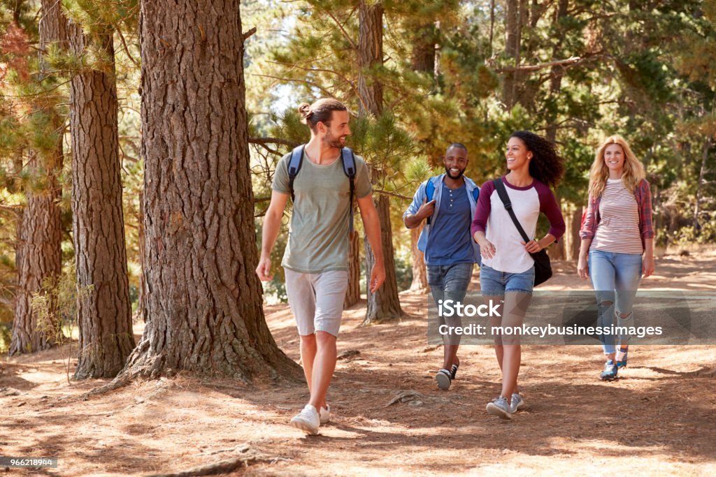 Groupe de jeunes amis sur randonnées aventure dans la campagne - Photo de Randonnée pédestre libre de droits