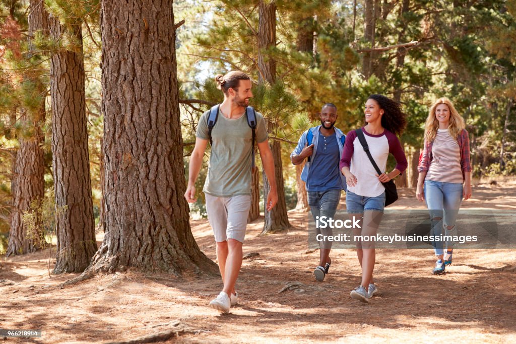 Group Of Young Friends On Hiking Adventure In Countryside Hiking Stock Photo