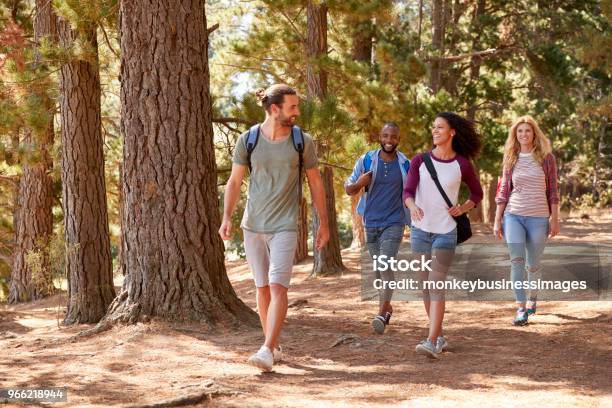 Group Of Young Friends On Hiking Adventure In Countryside Stock Photo - Download Image Now