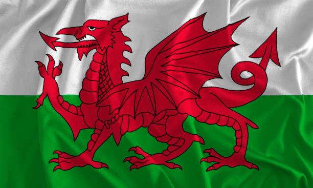 flaga walii tło - welsh flag welsh culture flag green zdjęcia i obrazy z banku zdjęć