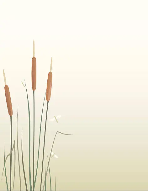 Vector illustration of Cattails and Dragonflies Background with copy space