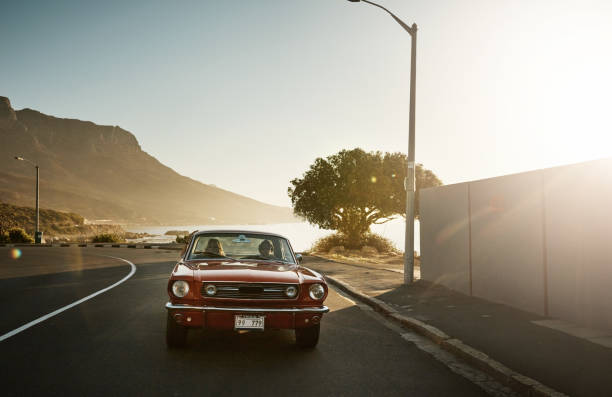 istock Freedom lies on the open road 966239428