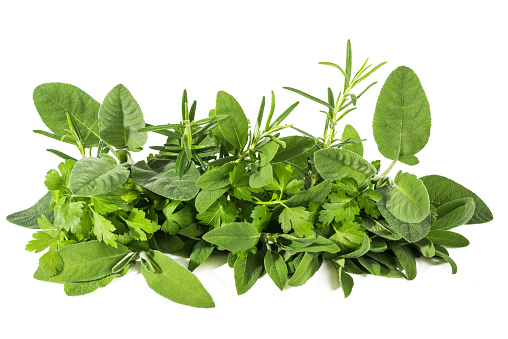 Fresh herbs mix  isolated on white background