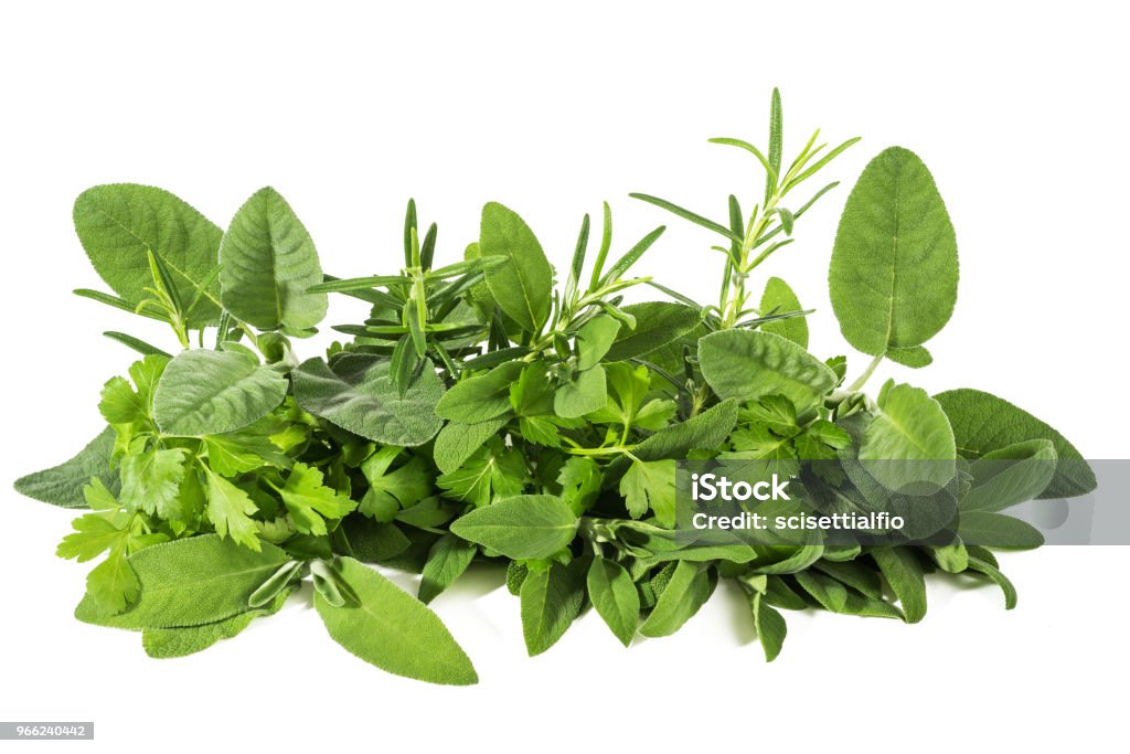 Fresh  herbs Fresh herbs mix  isolated on white background Herb Stock Photo