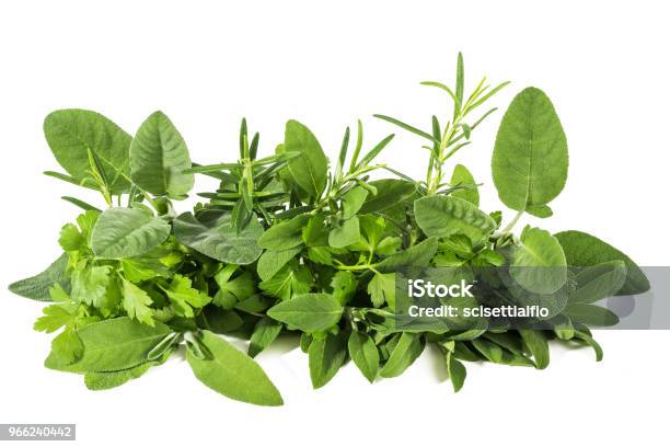 Fresh Herbs Stock Photo - Download Image Now - Herb, Heap, Stack