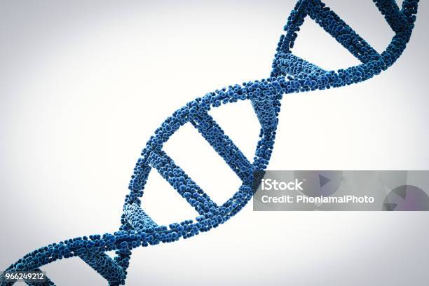 Foto de Hélice De Adn Ou Da Estrutura Do Dna e mais fotos de stock de DNA - DNA, Célula Germinal, Tridimensional