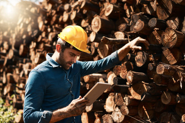 Tracking his lumber deliveries Cropped shot of a lumberjack using his tablet while standing in front of a pile of wood lumber industry photos stock pictures, royalty-free photos & images