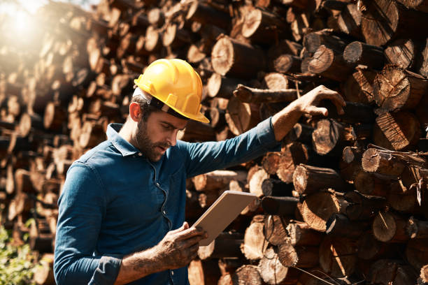 tracking his lumber deliveries - forest industry imagens e fotografias de stock