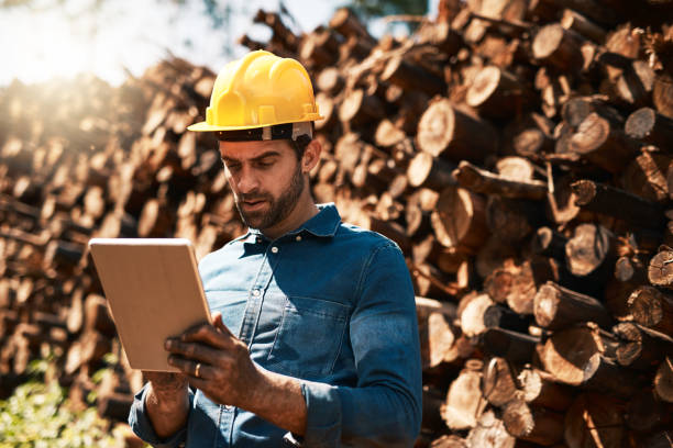 istock Keeping his eye on the lumber shipments 966257194