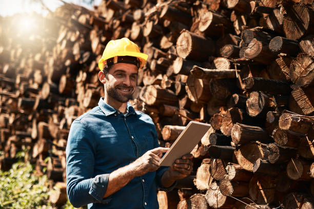 istock He's the man for all your lumber needs 966257200