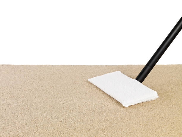 istock Steam cleaning the carpet 966257908