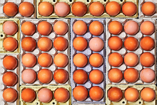 A lot of brown tone eggs over a egg cartons of different colors.